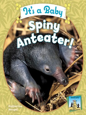 cover image of It's a Baby Spiny Anteater!